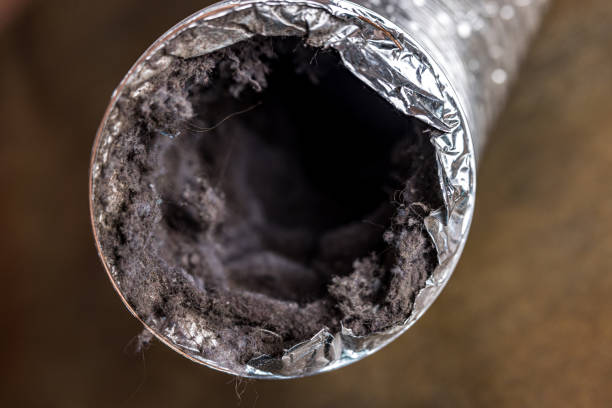 Best Residential Air Duct Cleaning  in Upper Exeter, PA